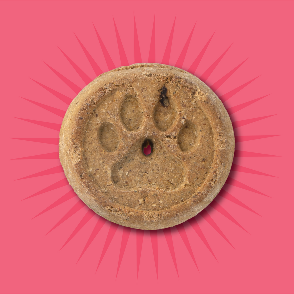 crunchy dog biscuit recipe
