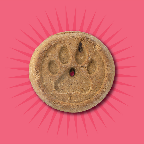 Evolve Grain Free Oven Baked Dog Biscuits Salmon Biscuit Dog Treats | 12 oz