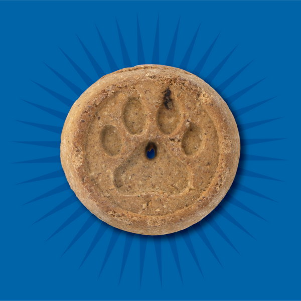 Evolve Grain Free Oven Baked Dog Biscuits Chicken Biscuit Dog Treats | 12 oz