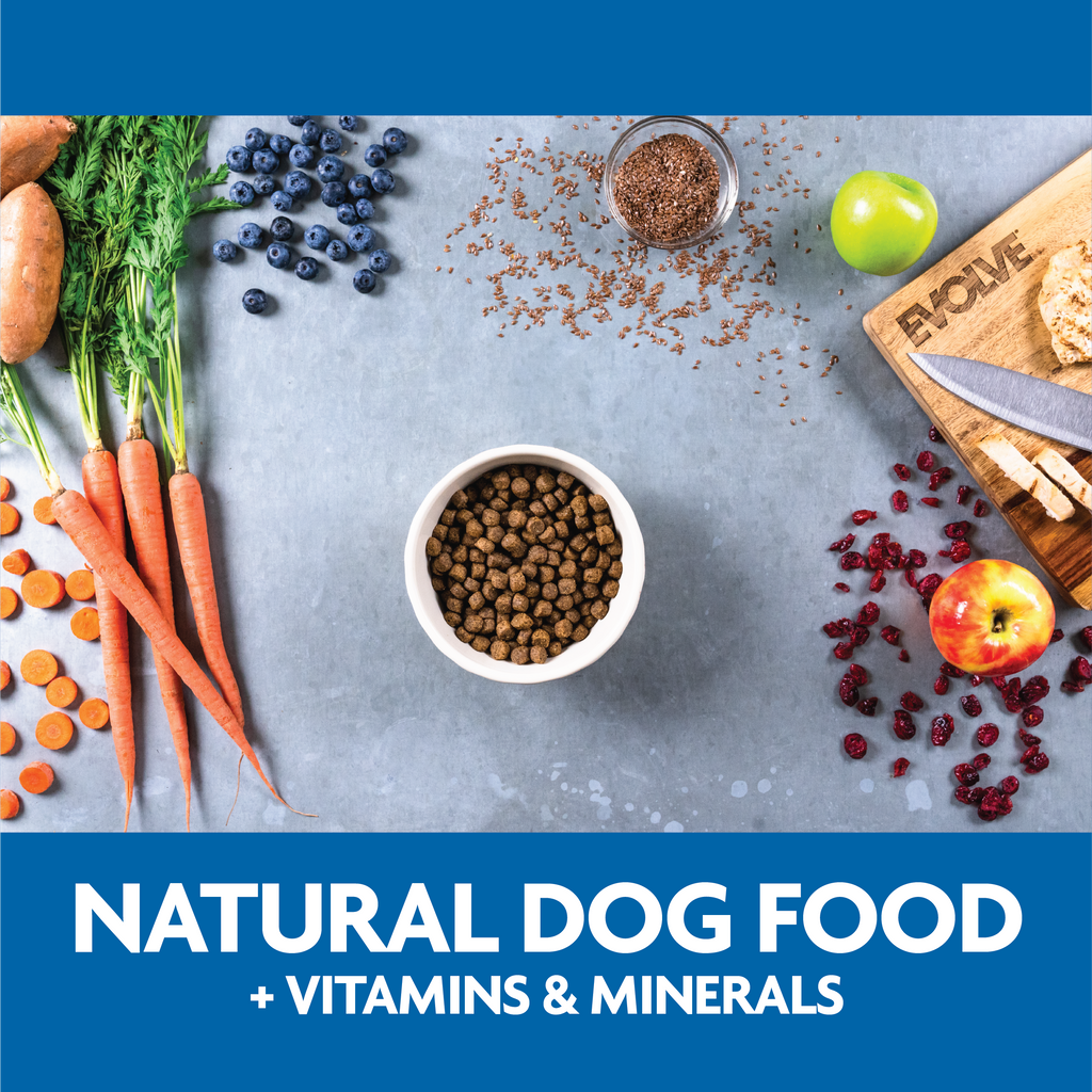 Natural dog food plus vitamins and minerals