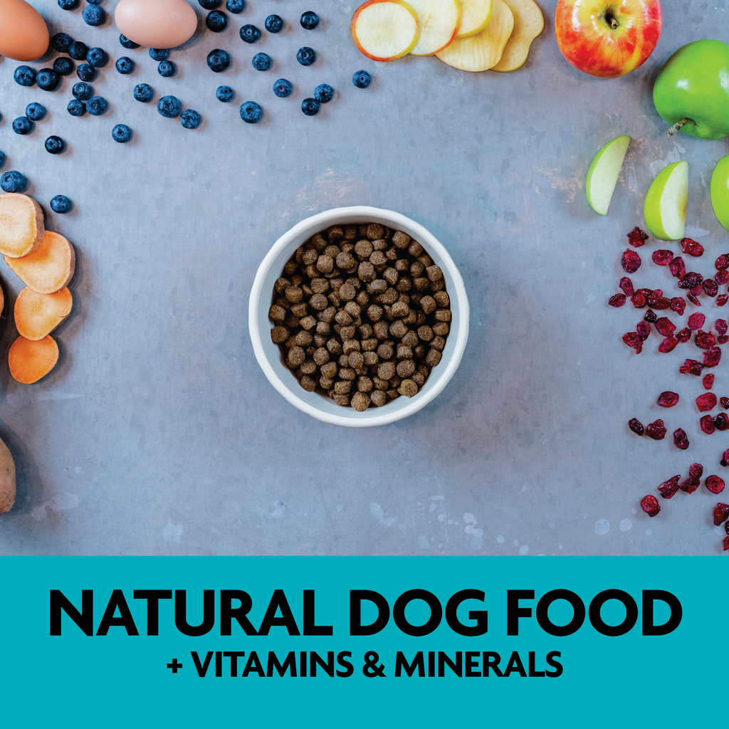 Evolve Grain Free Duck, Sweet Potato & Venison Recipe Dry Dog Food | 3.5 LB, 11 LB