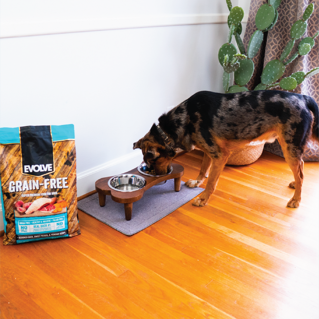 Evolve Grain Free Duck, Sweet Potato & Venison Recipe Dry Dog Food | 3.5 LB, 11 LB
