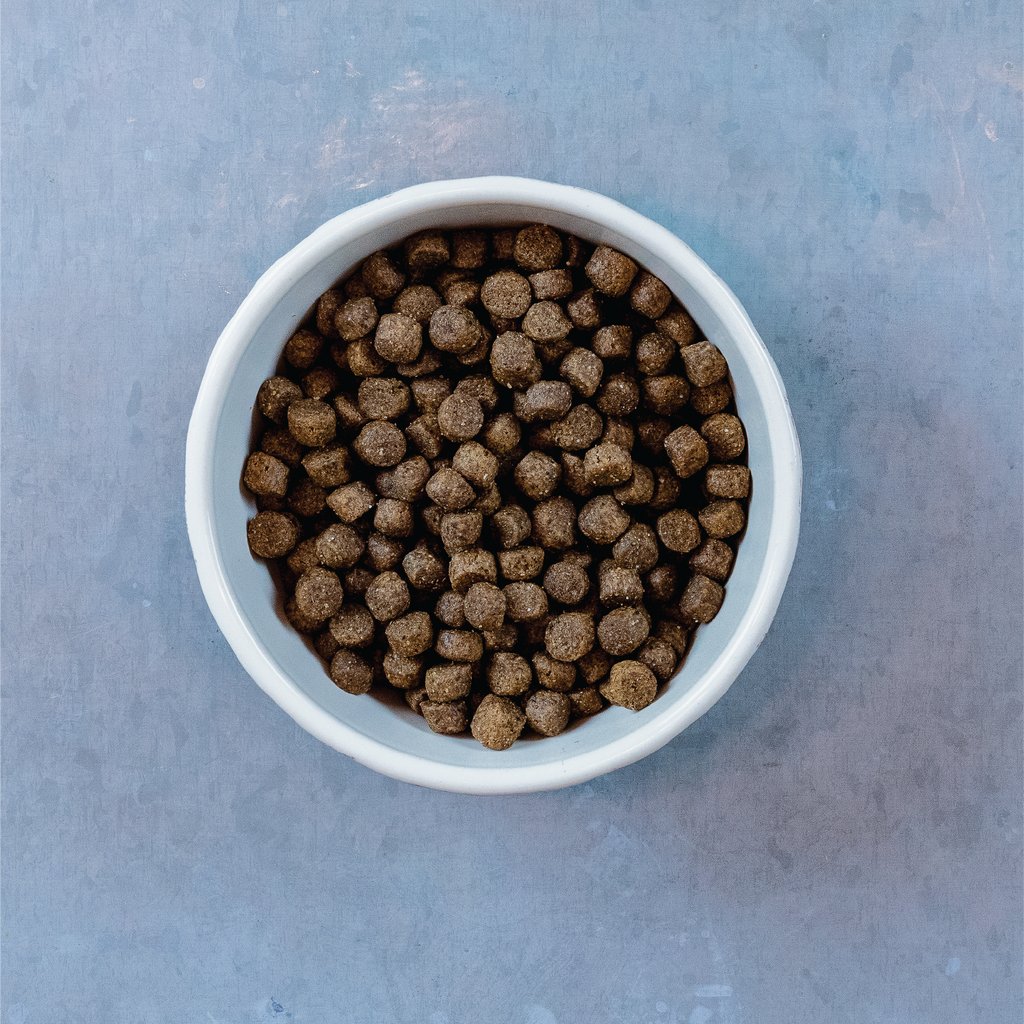 Evolve Grain Free Duck, Sweet Potato & Venison Recipe Dry Dog Food | 3.5 LB, 11 LB