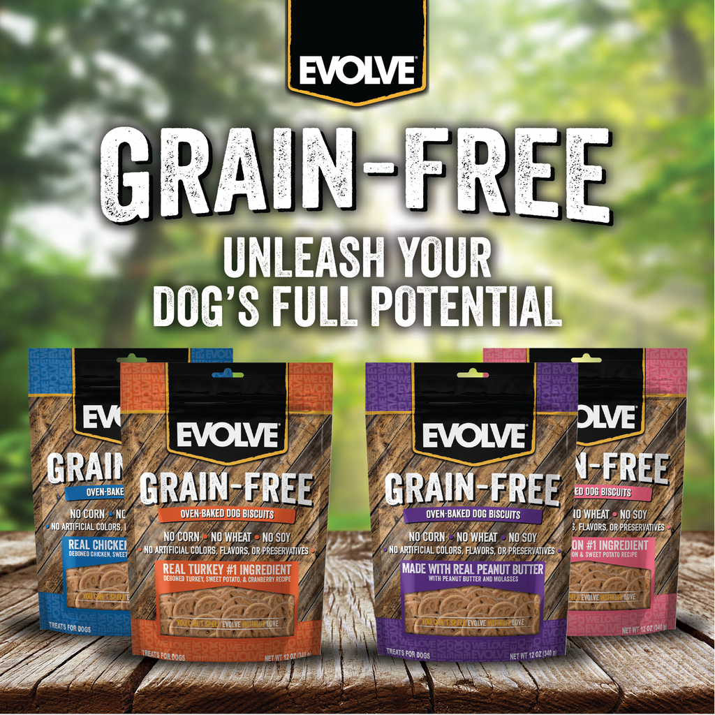 Evolve Grain Free Oven Baked Dog Biscuits Peanut Butter Biscuit Dog Treats | 12 oz