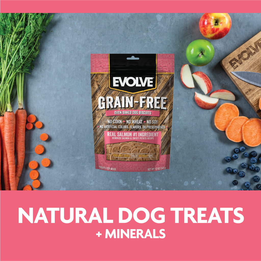 Evolve Grain Free Oven Baked Dog Biscuits Salmon Biscuit Dog Treats | 12 oz