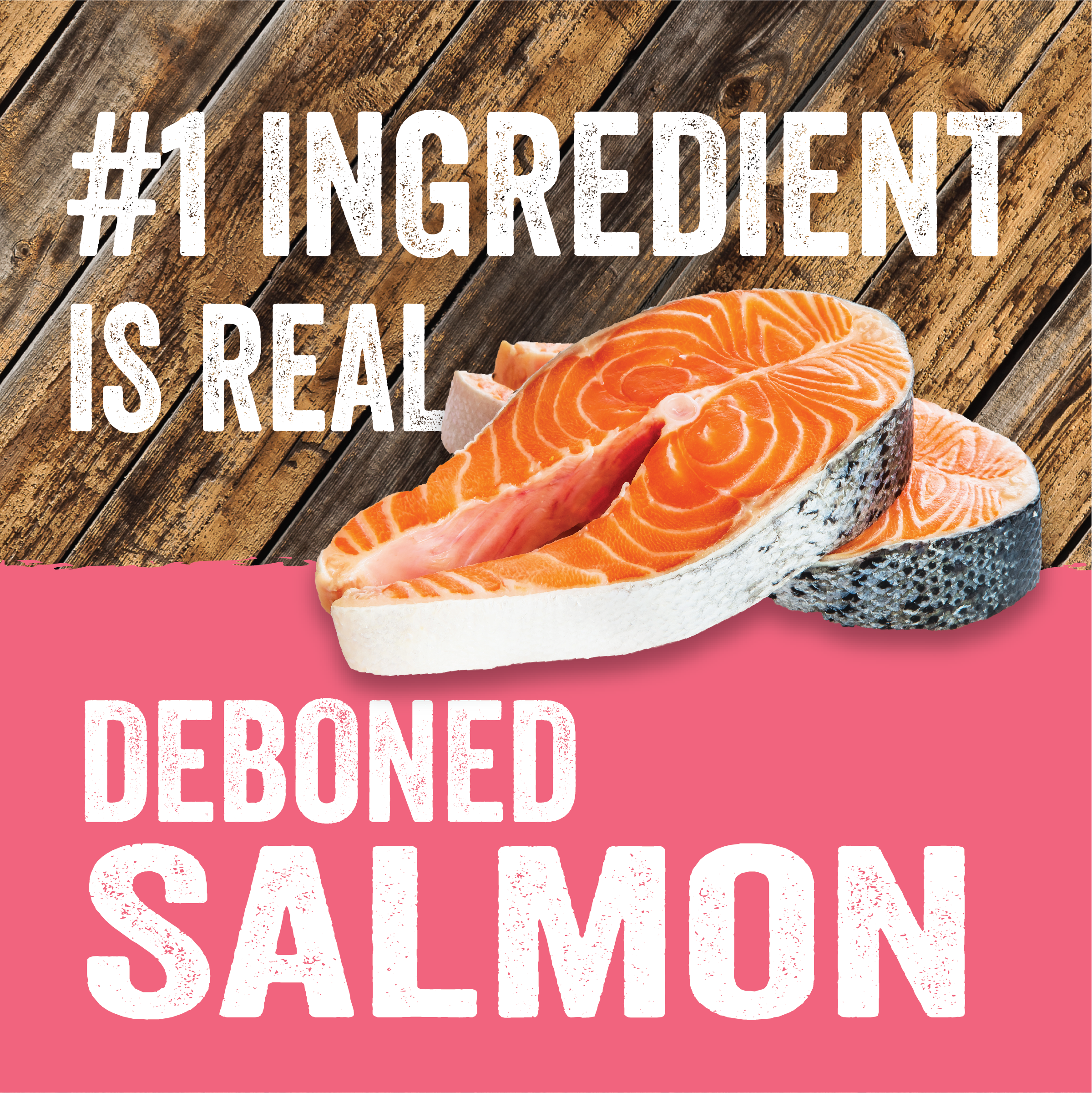 grain free salmon and sweet potato dog food