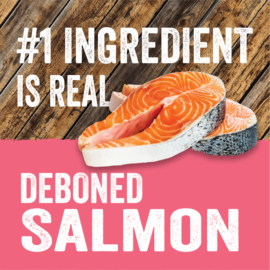 Evolve Grain Free Salmon & Sweet Potato Recipe Dry Dog Food | 3.5 LB, 12 LB