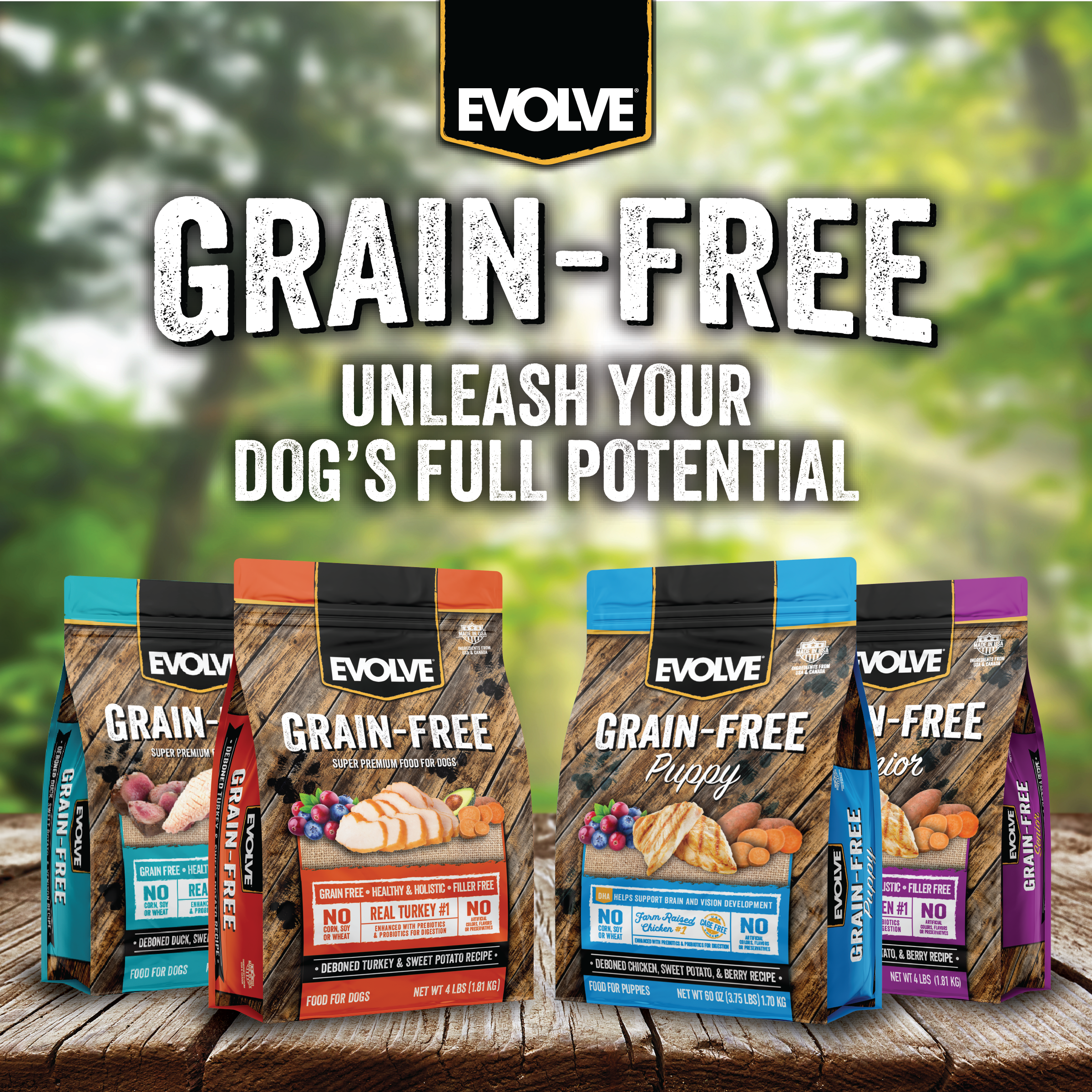 grain free salmon and sweet potato dog food