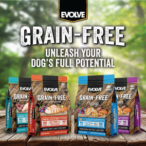 grain free salmon and sweet potato dog food