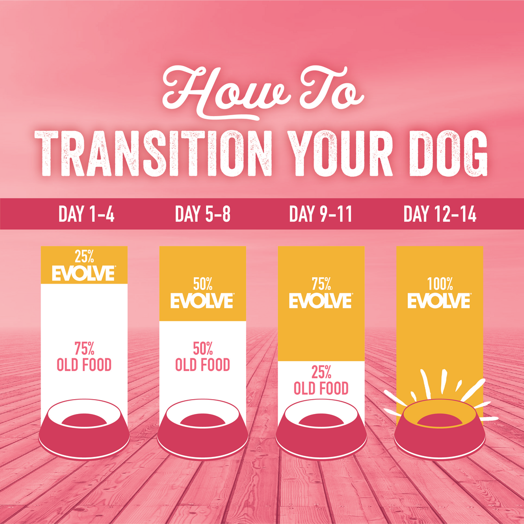 Transition Guidelines for Evolve grain free salmon and sweet potato dog food