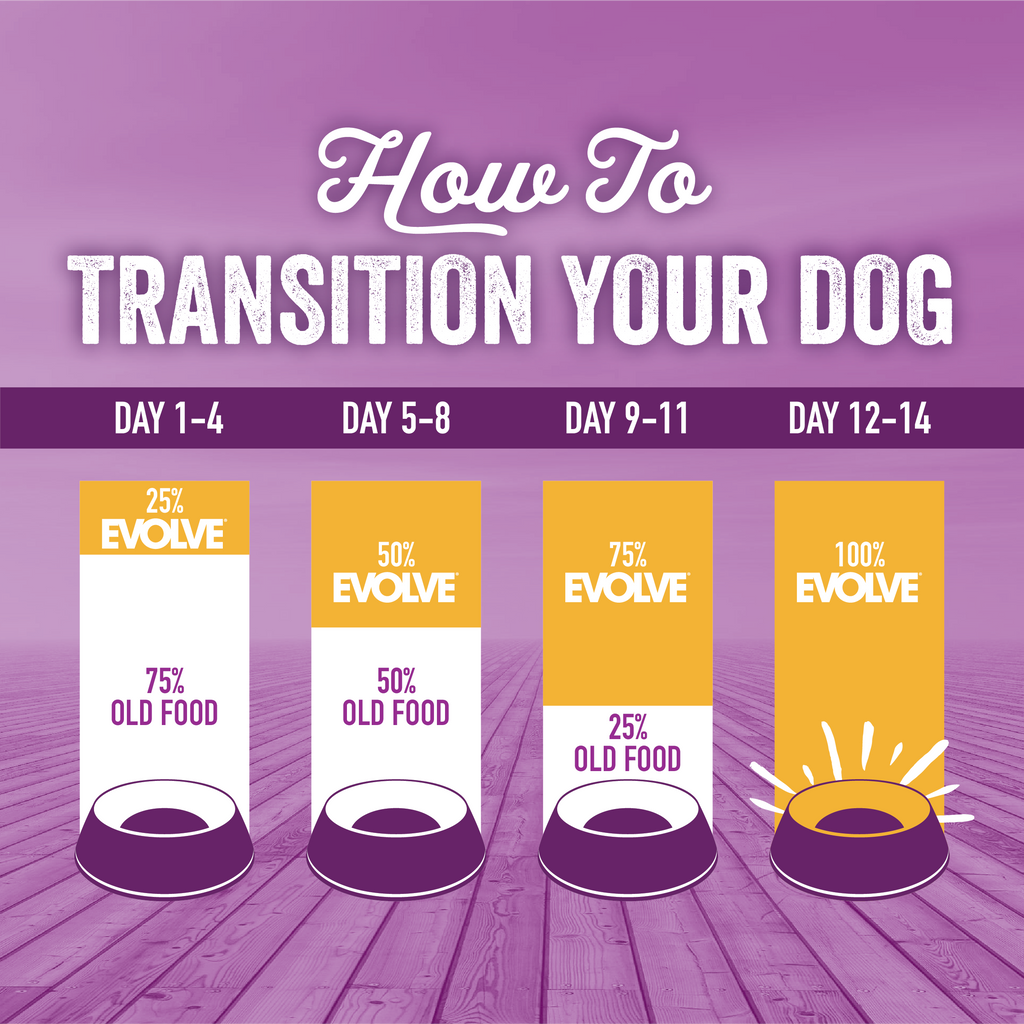 dog food transition guide