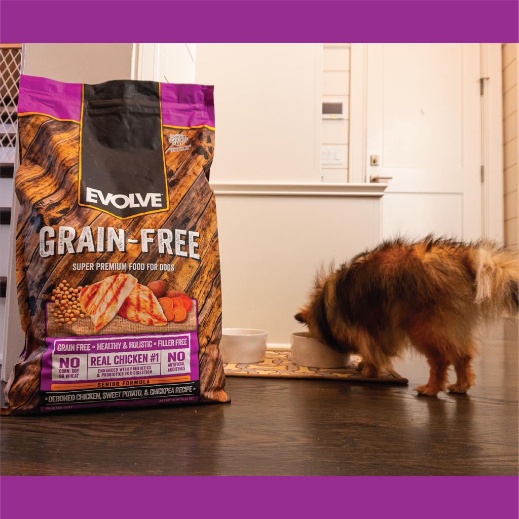 senior chicken dry dog food