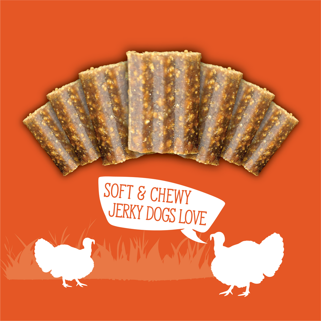 Evolve Grain Free Turkey, Pea, & Berry Recipe Jerky Bites Soft Dog Treats | 12 oz