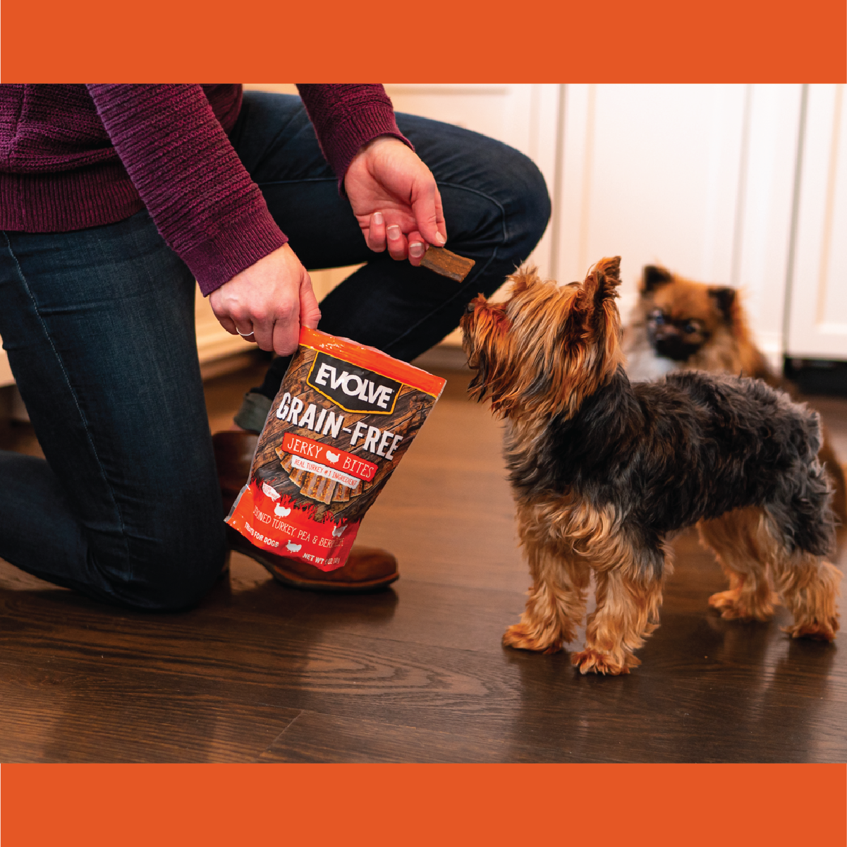 Evolve Turkey Pea Berry Grain Free Jerky Bites 12 oz