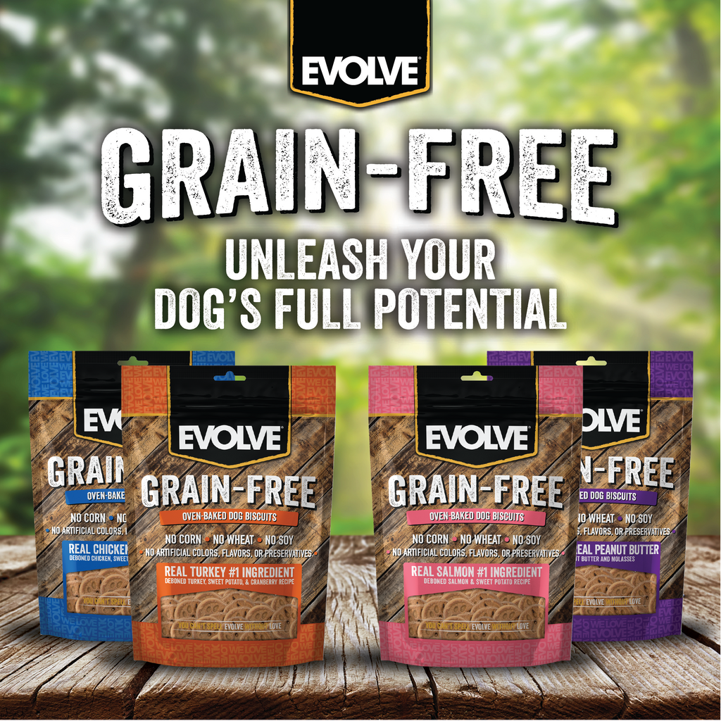 Evolve Grain Free Oven Baked Dog Biscuits Turkey Biscuit Dog Treats | 12 oz