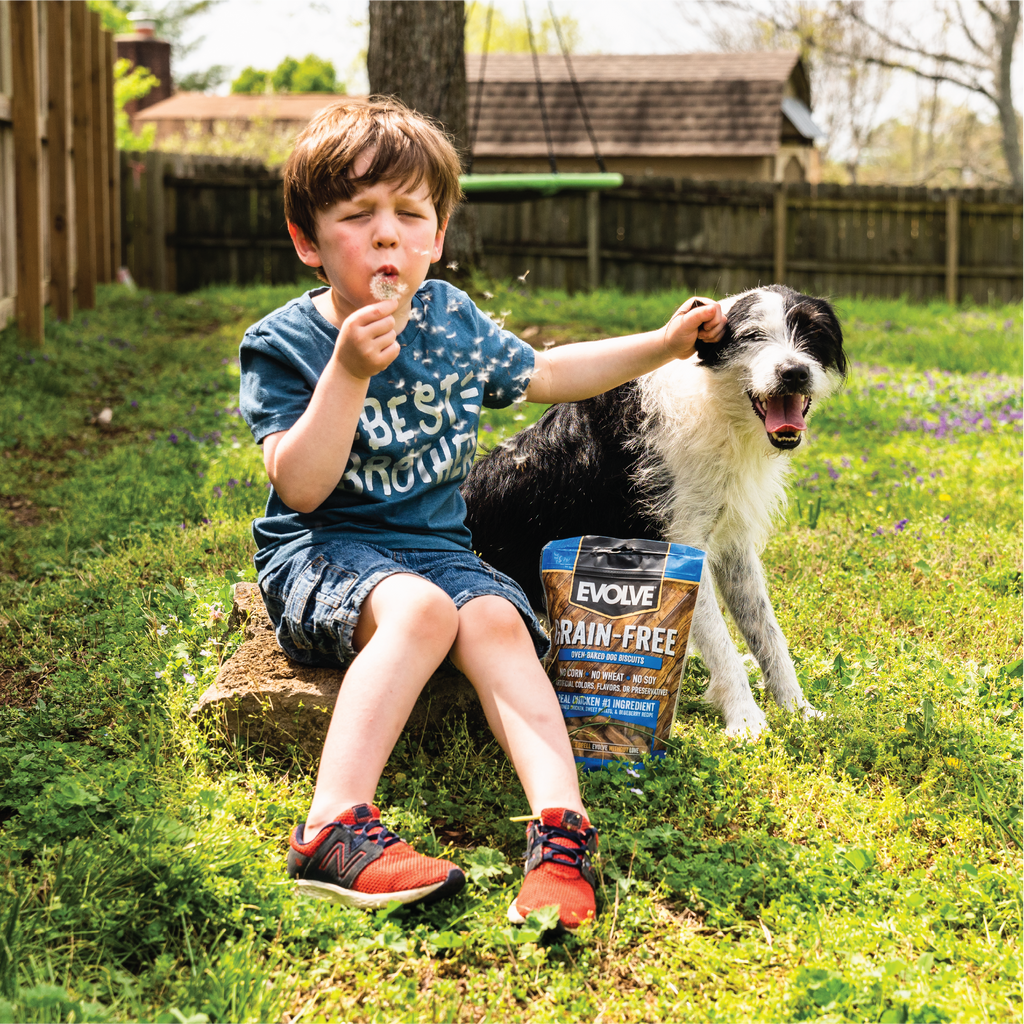 Evolve Grain Free Oven Baked Dog Biscuits Turkey Biscuit Dog Treats | 12 oz