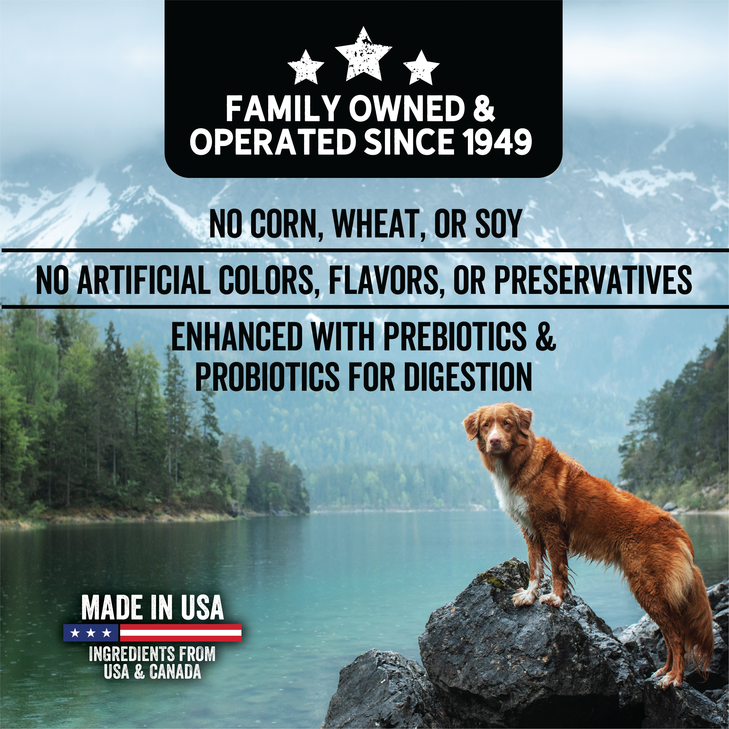 No Corn, Wheat or Soy. No Artificial Colors, Flavors or Preservatives. Enhanced with prebiotics and probiotics for digestion.