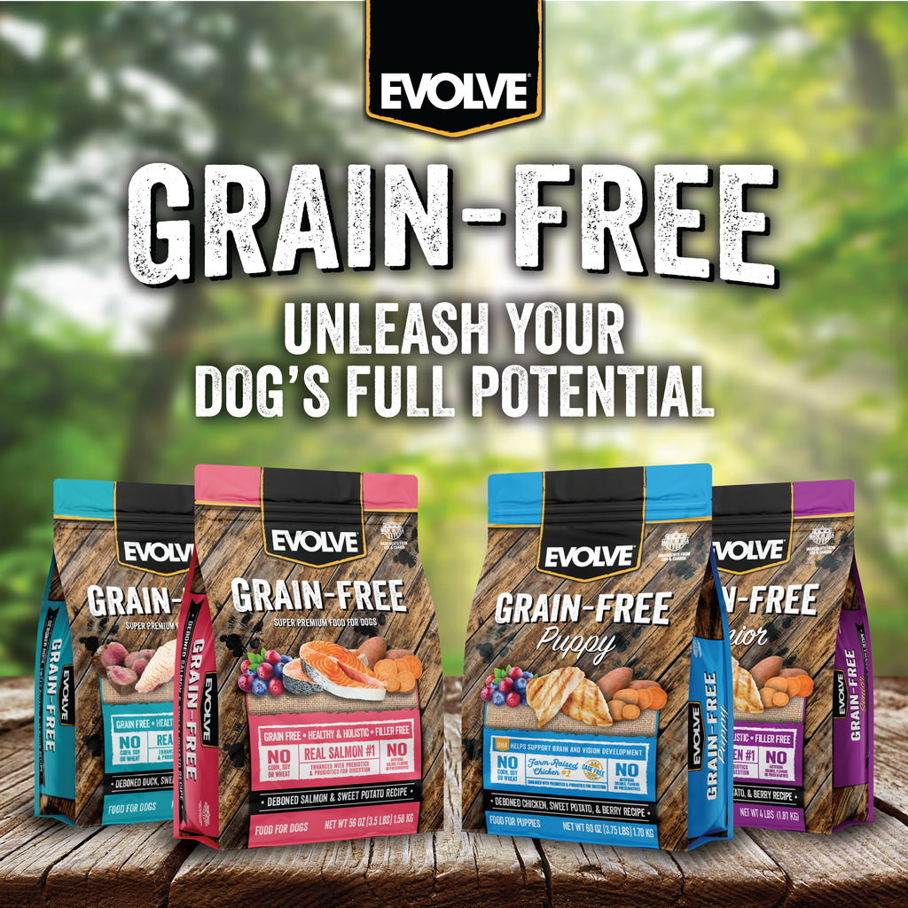 Superior Quality Grain Free Turkey Dog Food