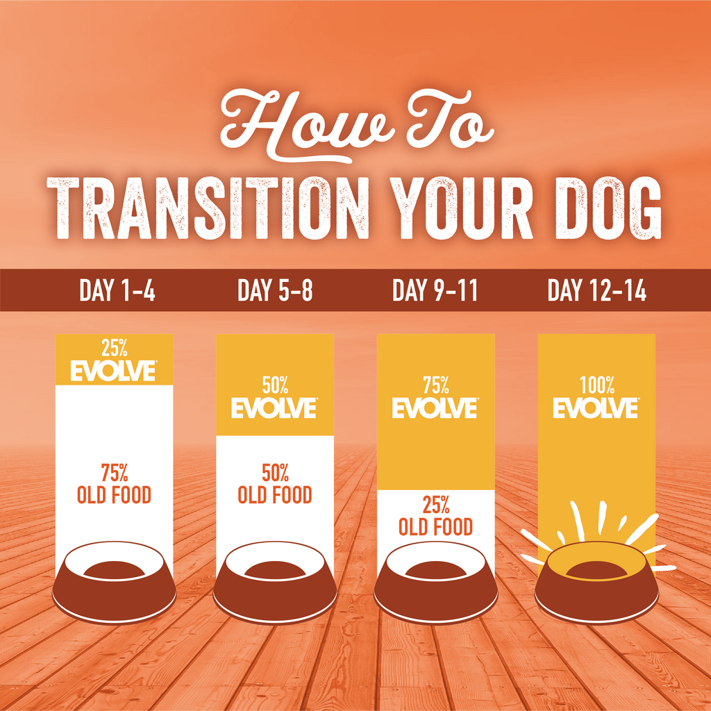 how to transition your dog's food