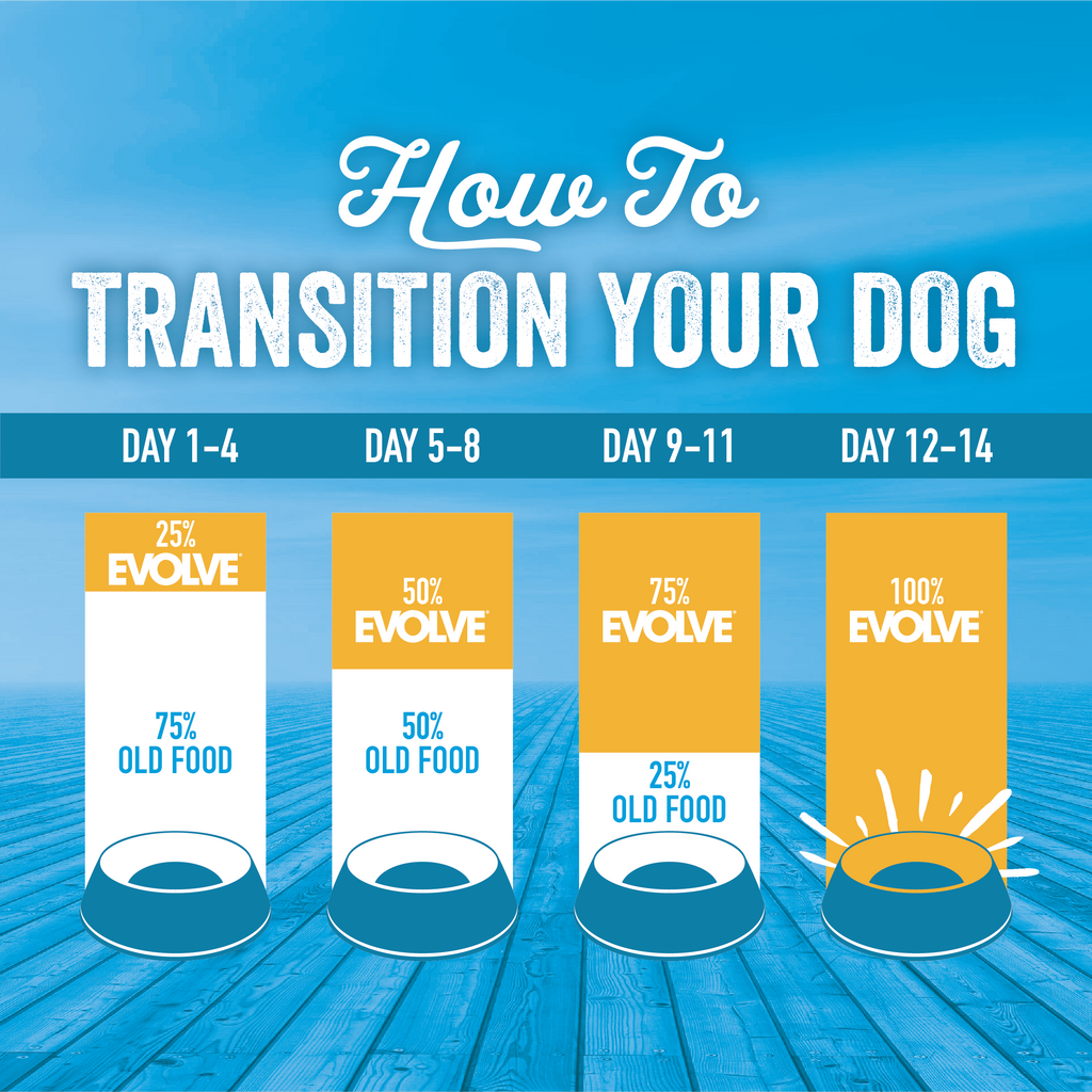 chicken and brown rice dog food transition chart