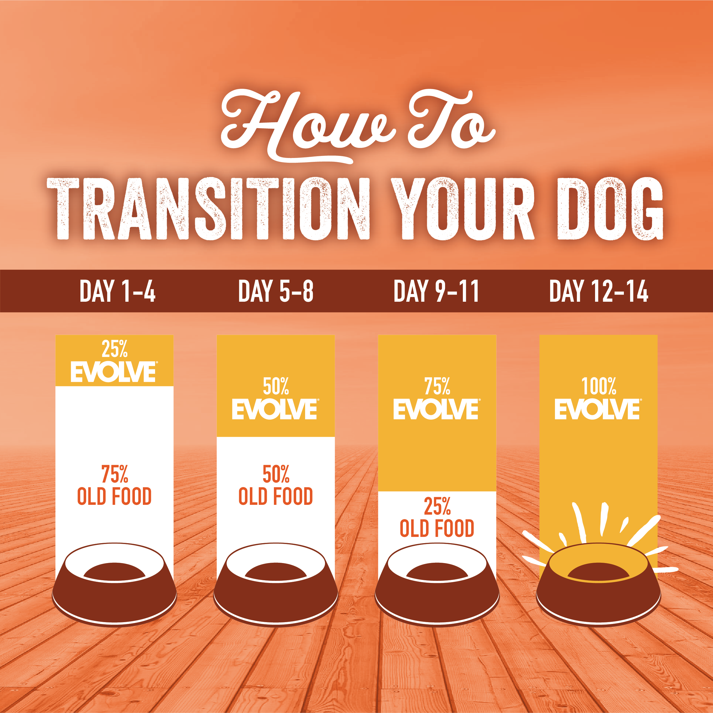 turkey and brown rice dog food transition guide