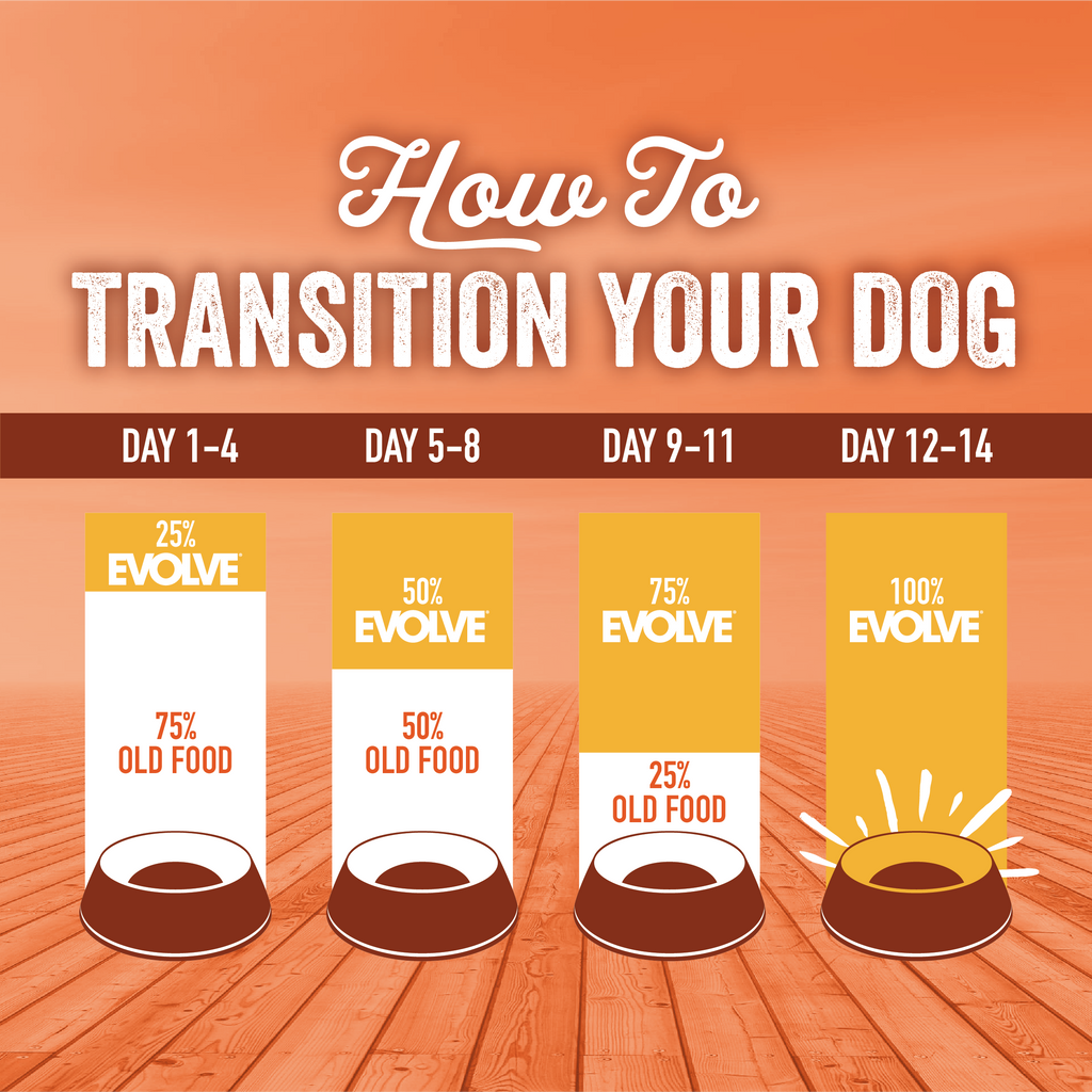 turkey and brown rice dog food transition guide