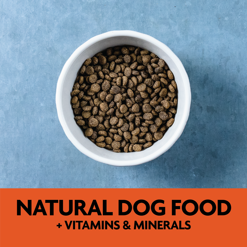 natural dog food with vitamins and minerals