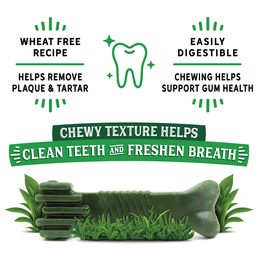 Dr. Dental Fresh Chews Large Dental Dog Treats 12 ct