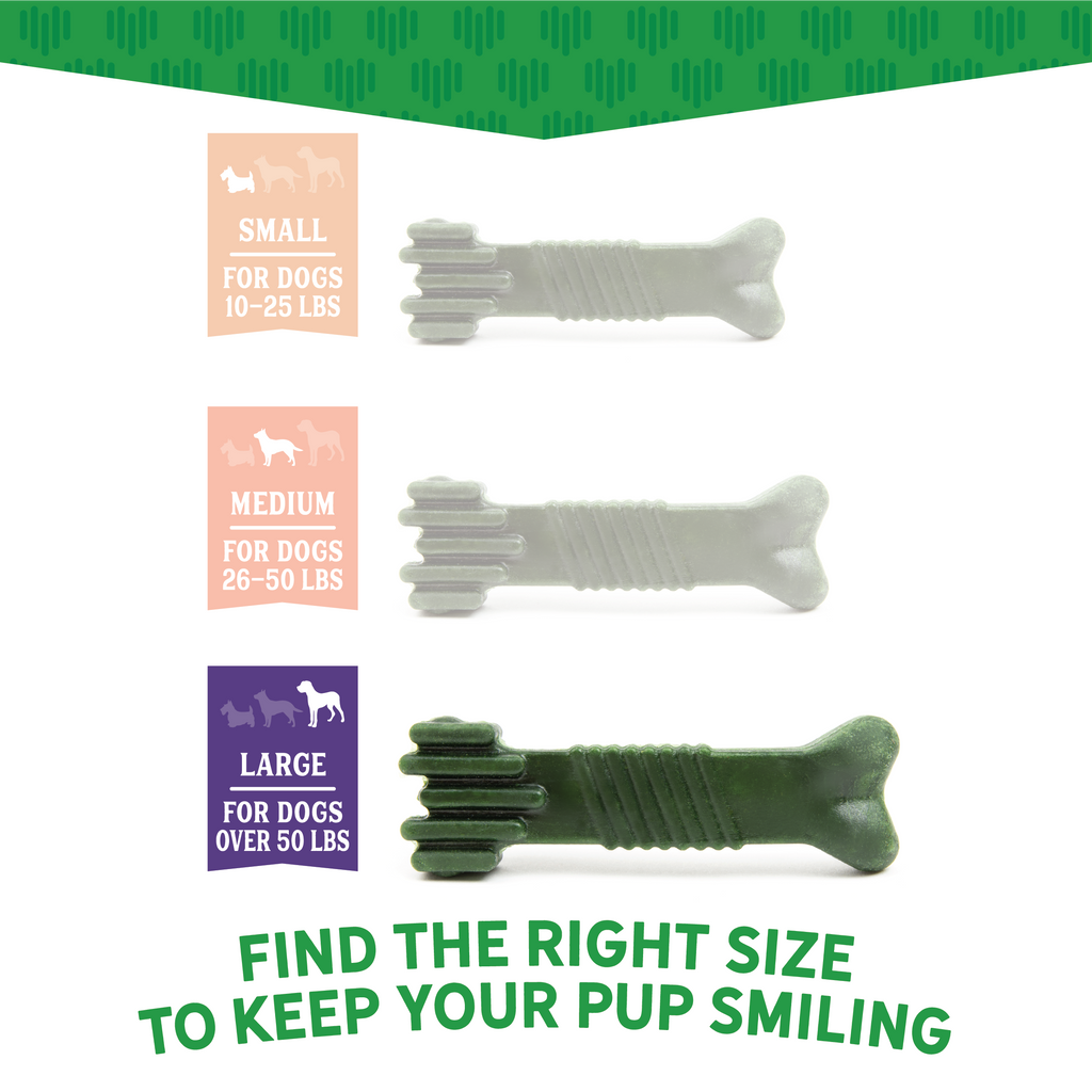 Dr. Dental Fresh Chews Large Dental Dog Treats 12 ct