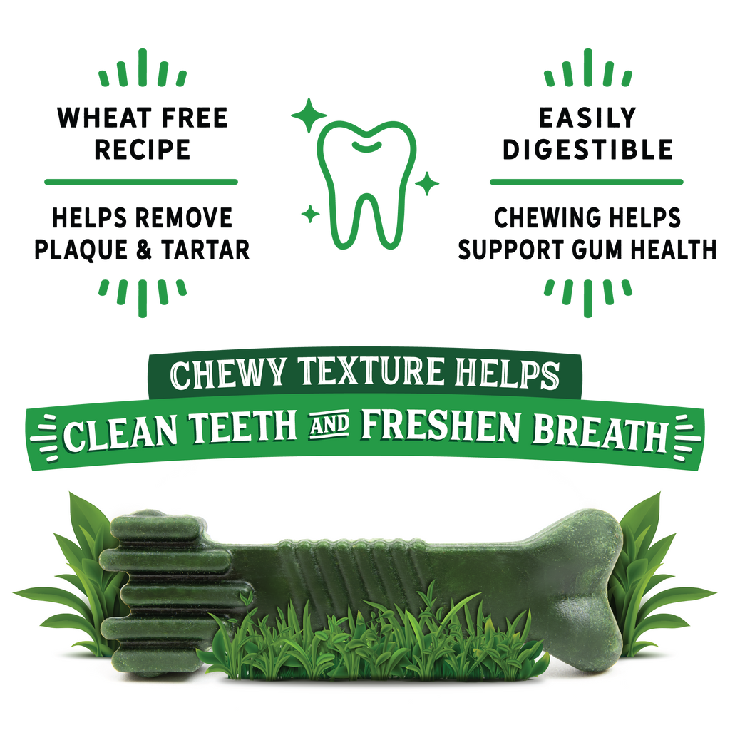 Dr. Dental Fresh Chews Medium Dental Dog Treats 16 ct