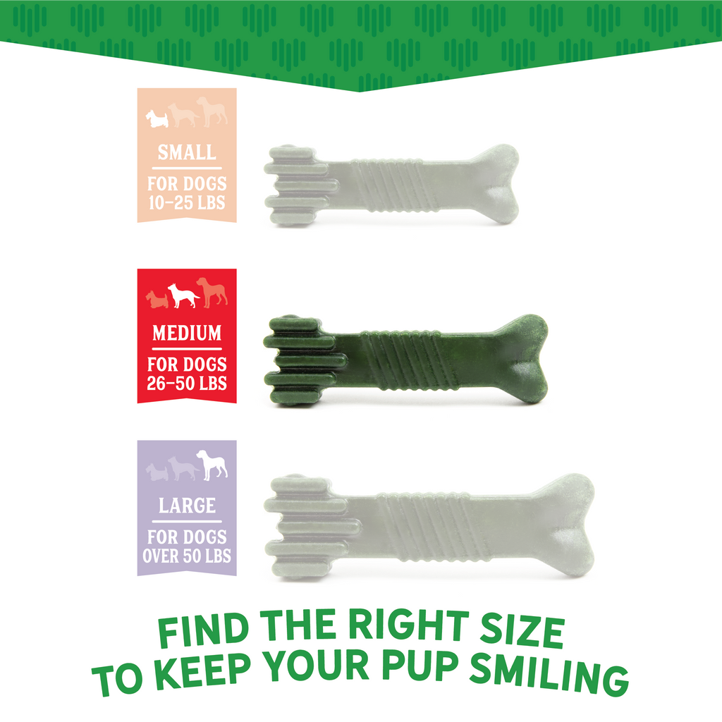 Dr. Dental Fresh Chews Medium Dental Dog Treats 16 ct