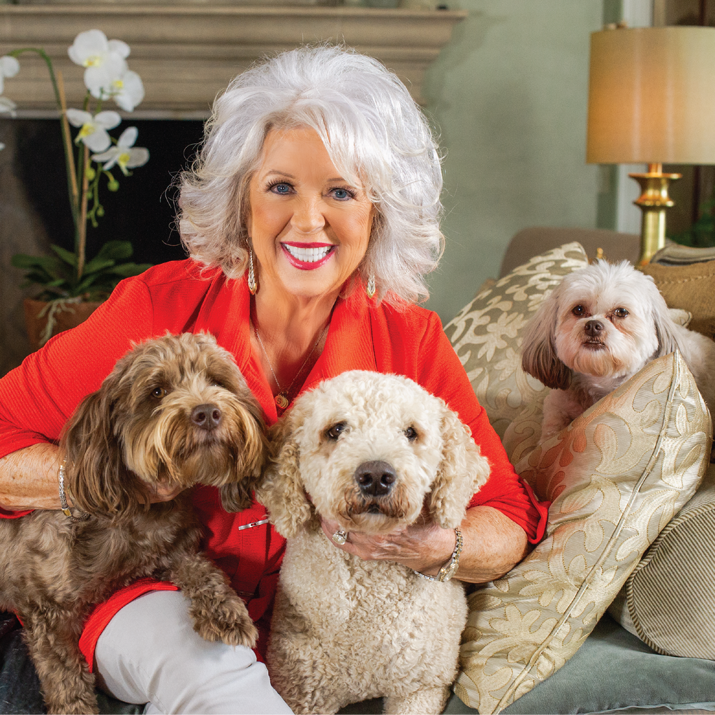 Paula Deen Home Cookin' Grain Free Deboned Salmon & Sweet Potato Jerky Bites Soft Dog Treats | 12 oz