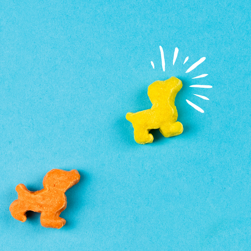 Pup Corn Plus with Chicken & Cheddar Cheese Puffed Dog Treats | 24.5 oz