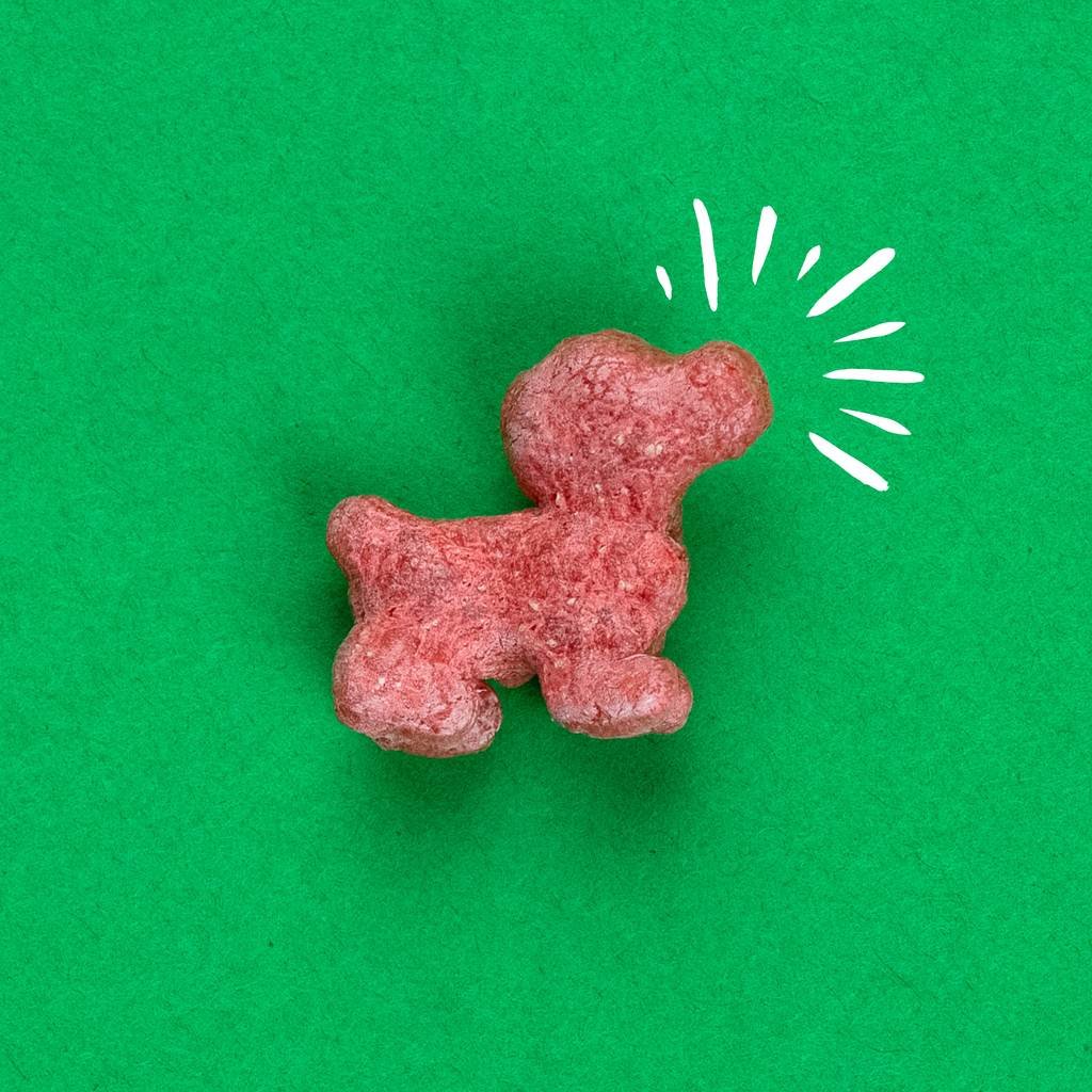Pup Corn Plus with Salmon & Sweet Potato Puffed Dog Treats | 24.5 oz