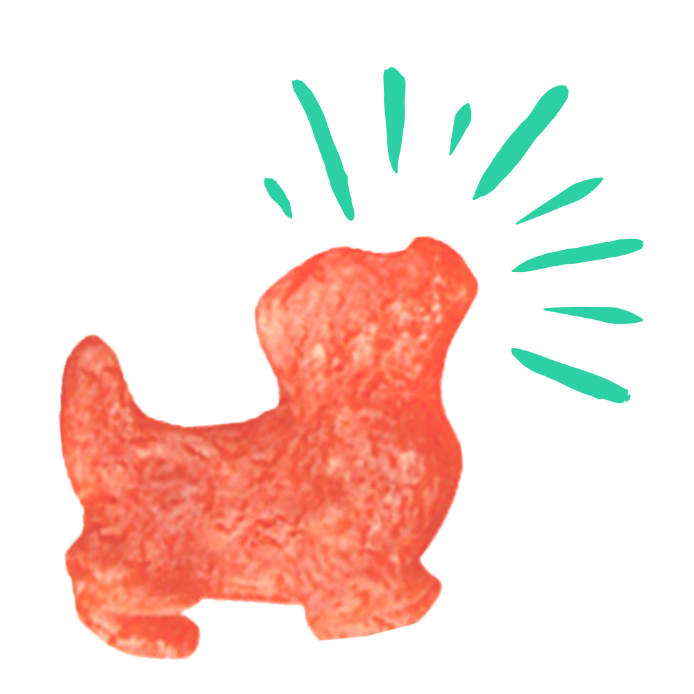 Pup Corn Plus with Salmon & Sweet Potato Puffed Dog Treats | 24.5 oz
