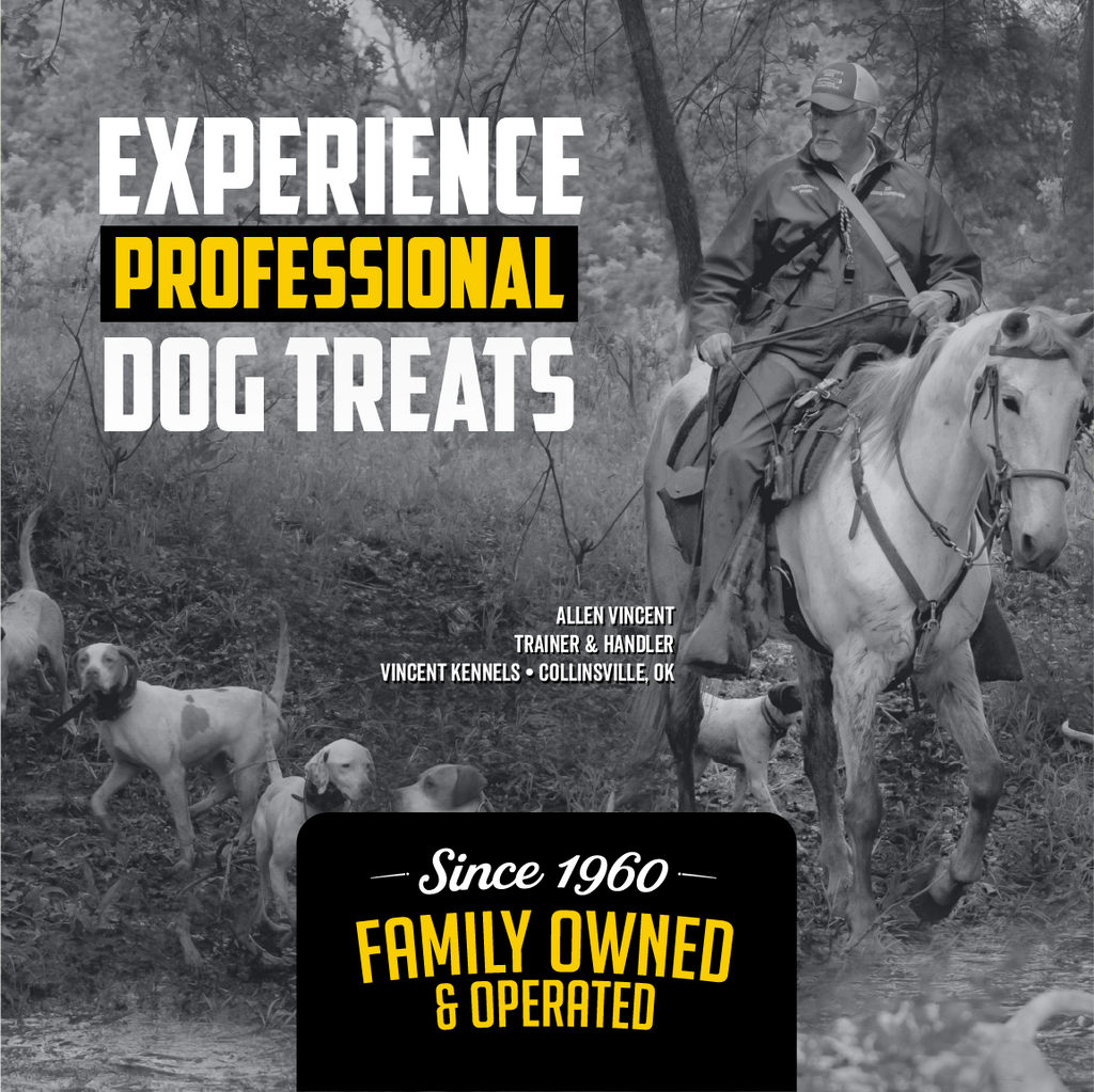 Sportsman's Pride Field Master Grain Free Healthy Hip & Joint Biscuit Dog Treats | 12 oz, 3 LB
