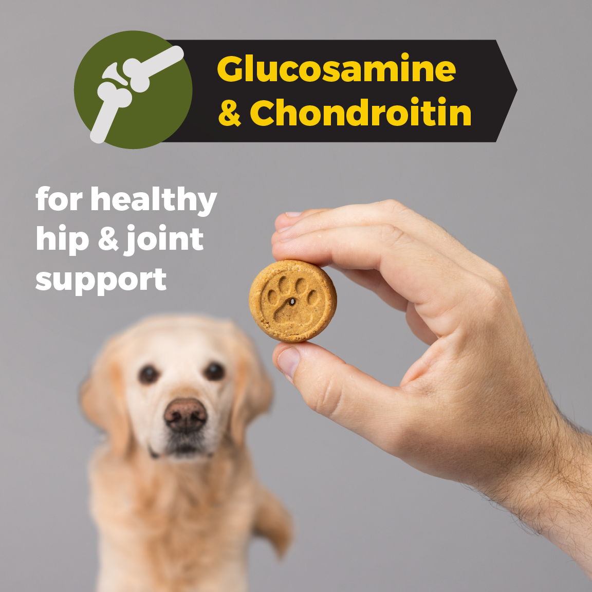 Sportsman's Pride Hip and Joint Dog Supplement Biscuit for Sale