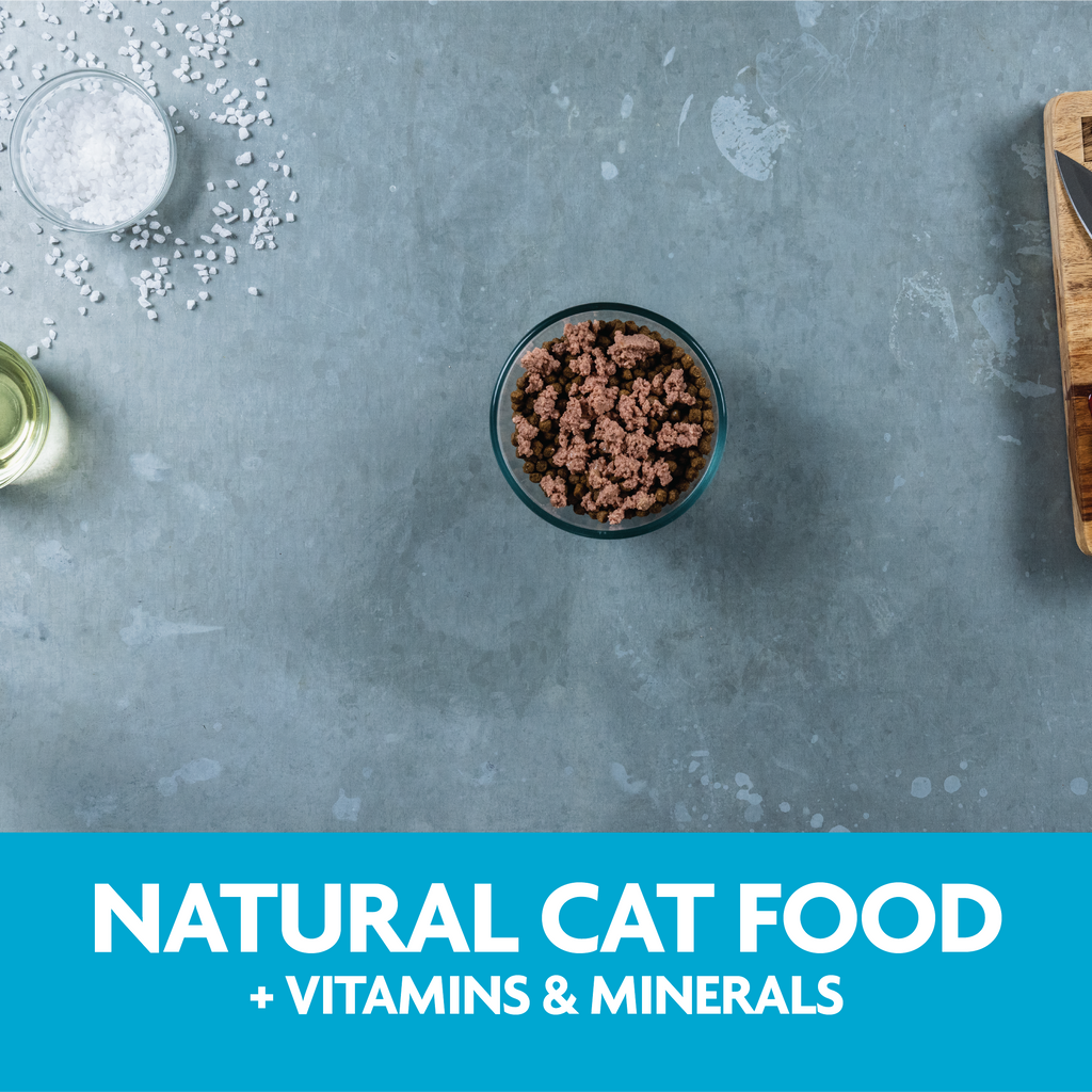 Triumph Meals of Victory Chicken Recipe Wet Cat Food | 3.5 oz - 15 pk