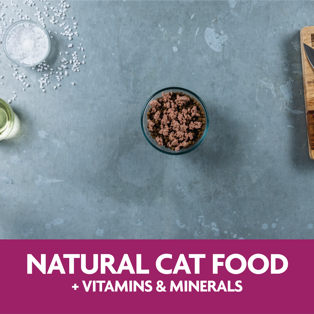 Triumph Meals of Victory Liver Recipe Wet Cat Food | 3.5 oz - 15 pk