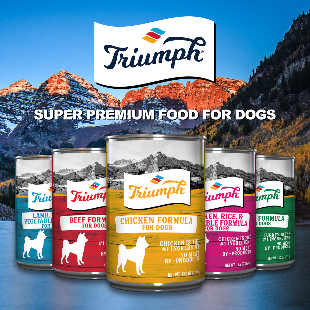 Triumph chicken and rice dog shop food