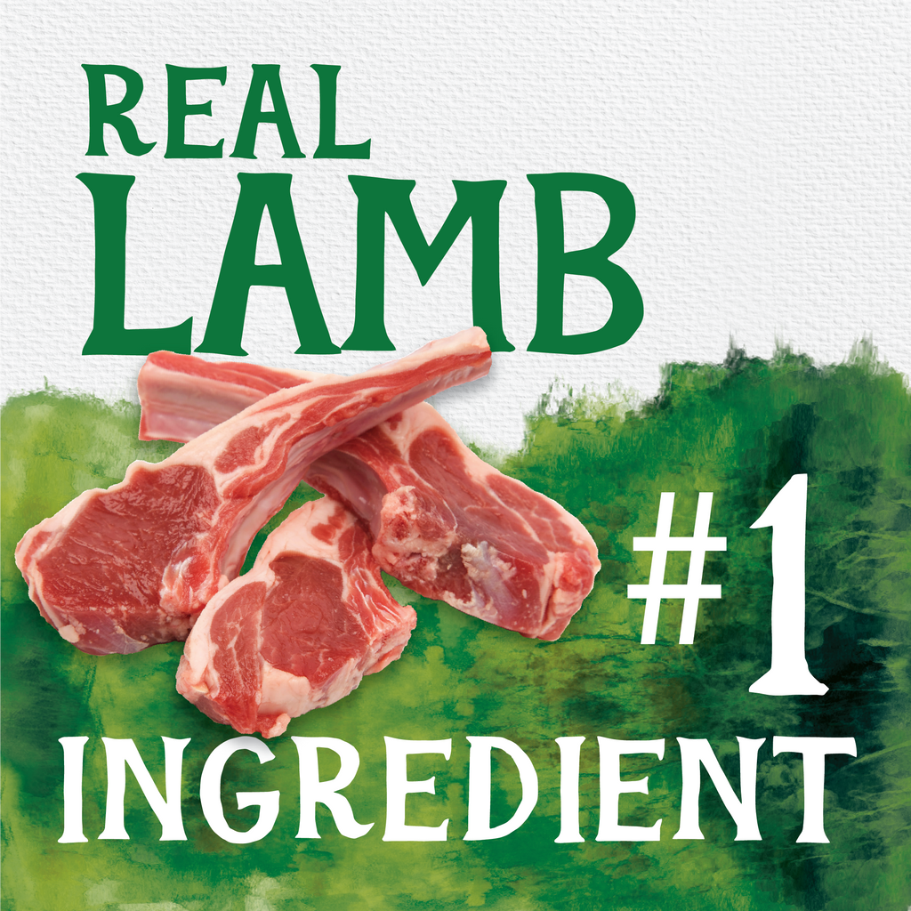 Grain Free Lamb & Butternut Squash Jerky Bites | 20 oz | Triumph