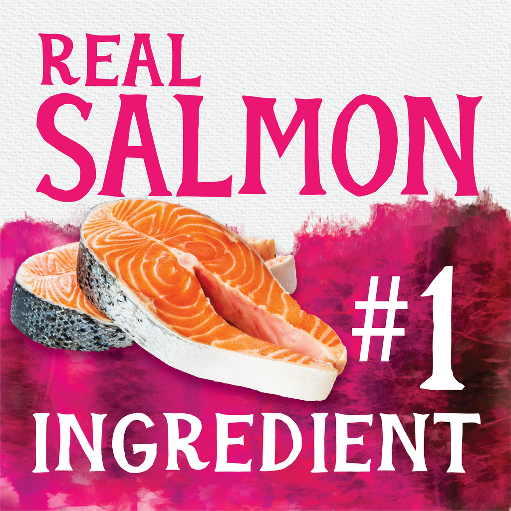 Grain Free Salmon & Sweet Potato Dog Food | 3 LB, 13 LB, 26 LB | Triumph