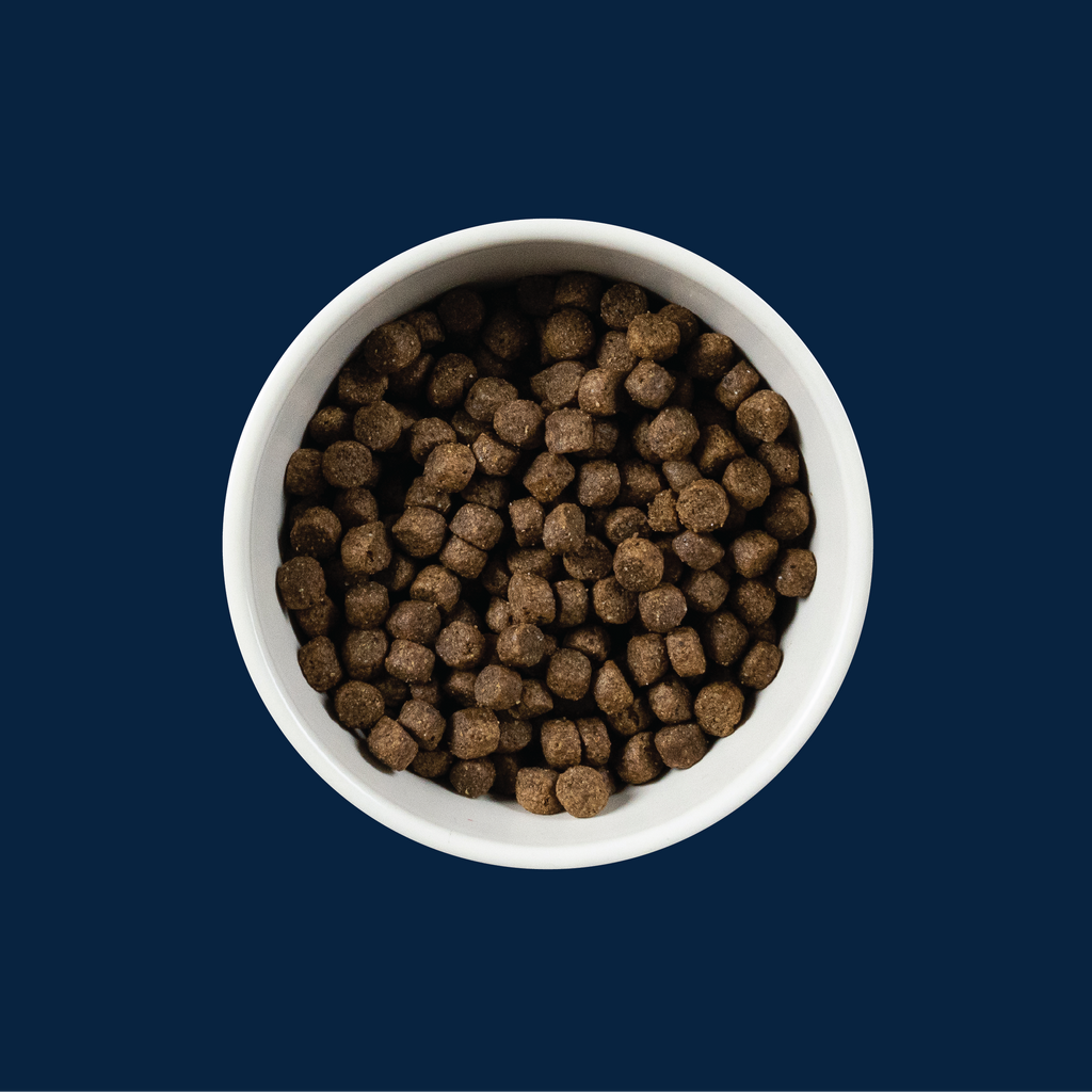 Triumph Free Spirit Grain Free Salmon Sweet Potato Recipe Dry Dog Fo