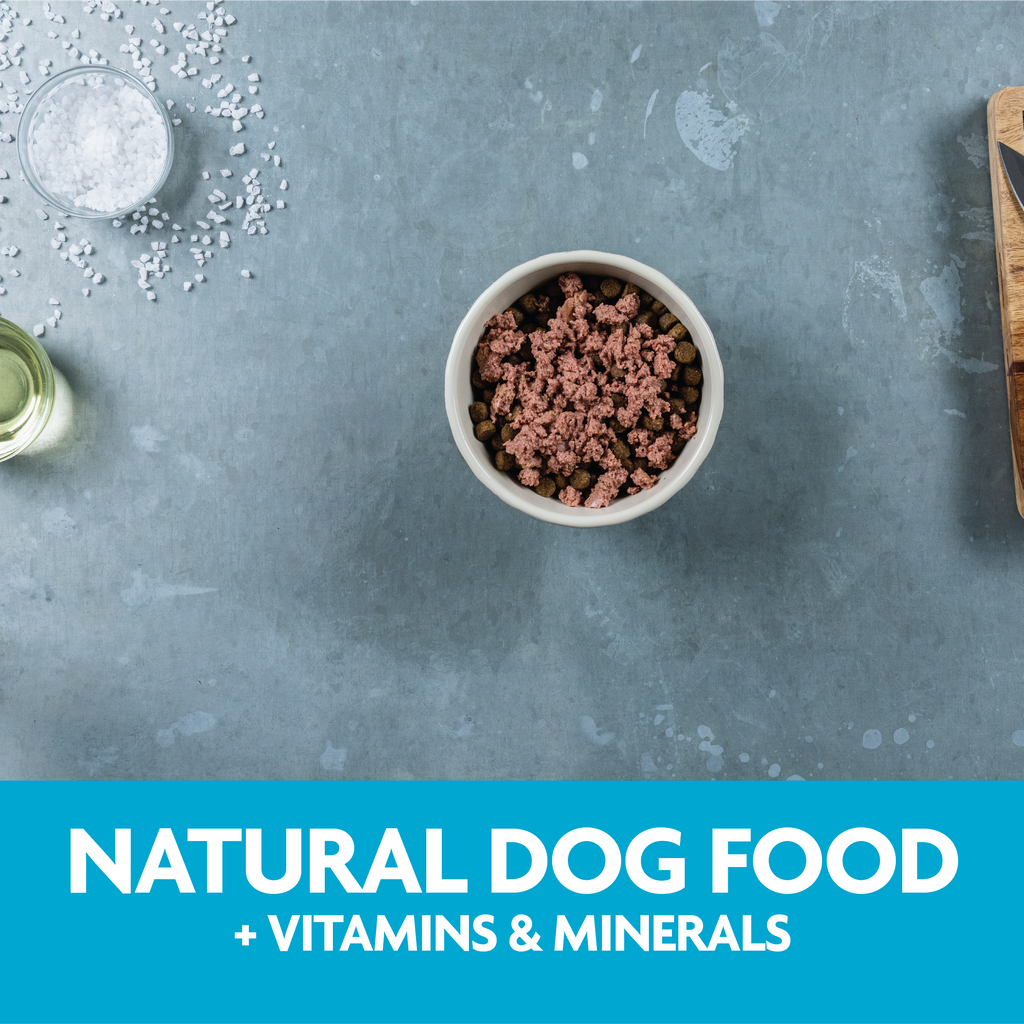 Triumph Meals of Victory Chicken Recipe Wet Dog Food | 3.5 oz - 15 pk