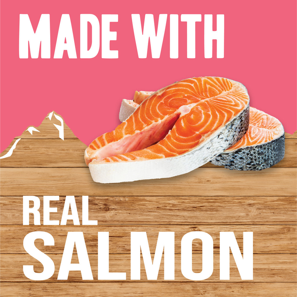 Salmon Formula Wet Dog Food | 3.5 oz - 15 pk | Triumph Meals of Victory