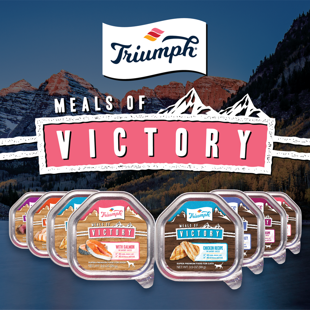 Triumph Meals of Victory With Salmon Recipe Wet Dog Food | 3.5 oz - 15 pk