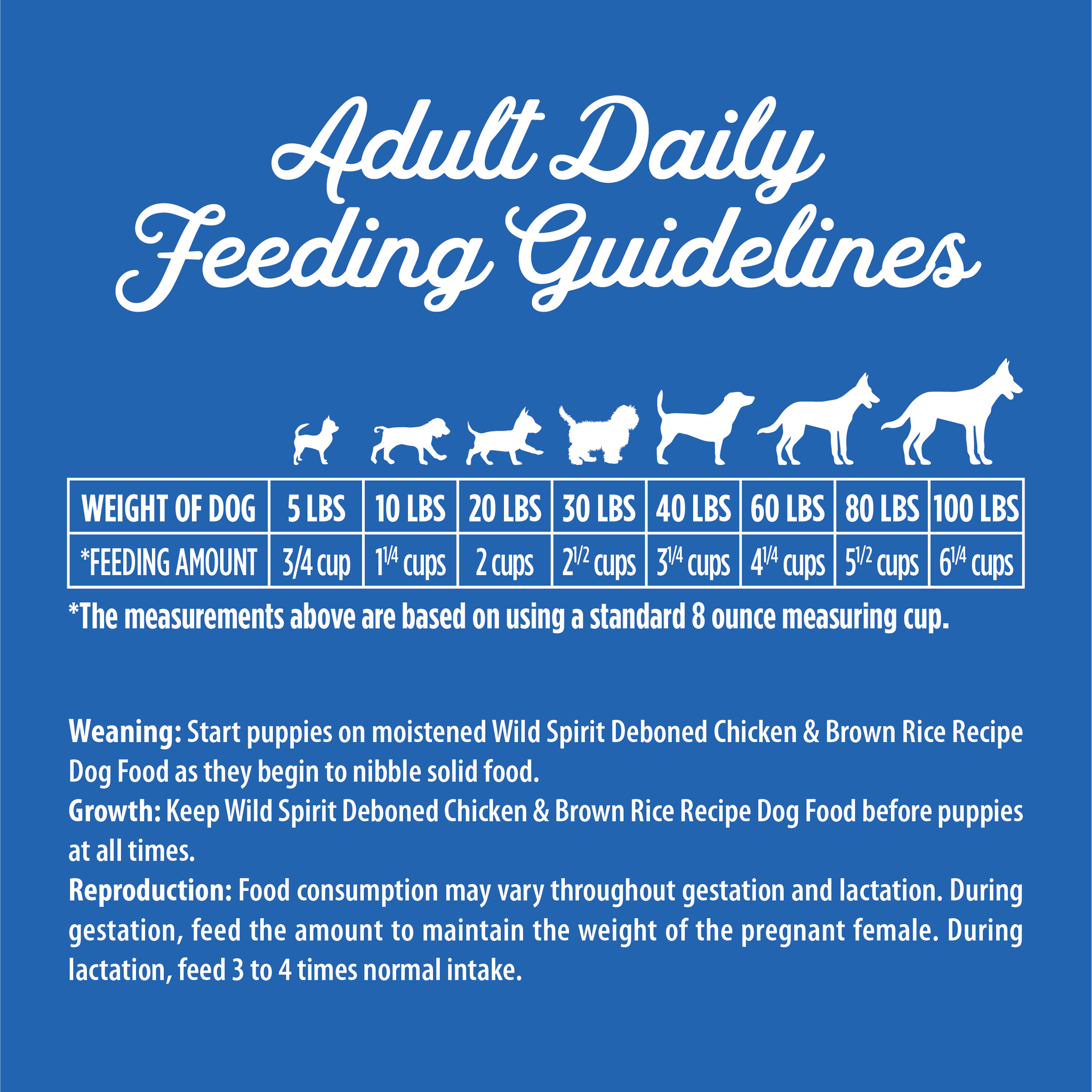 Triumph chicken & rice recipe dry dog food outlet