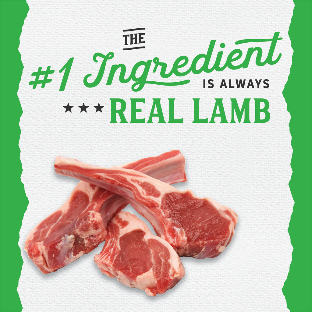 Limited Ingredient Lamb & Brown Rice Dog Food | 26 LB | Triumph