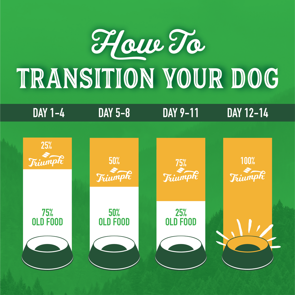 Limited Ingredient Lamb & Brown Rice Dog Food | 26 LB | Triumph