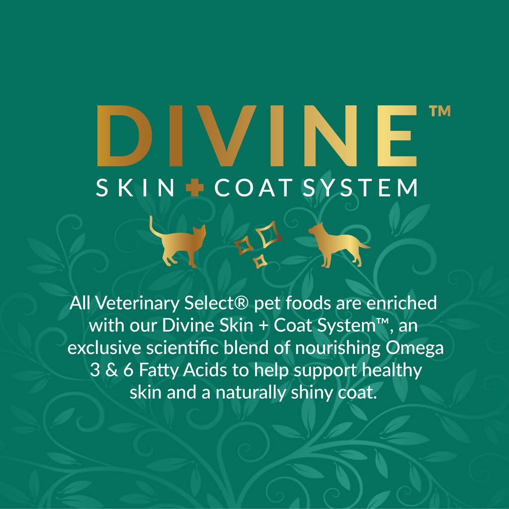 Veterinary exclusive digestive care hot sale